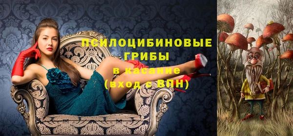 кристаллы Заводоуковск