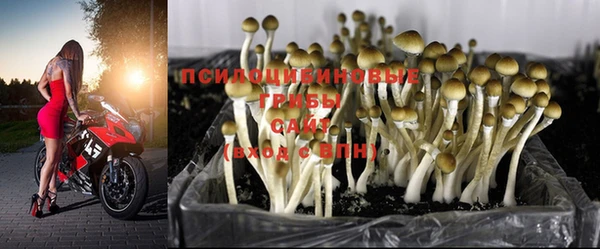 кристаллы Заводоуковск