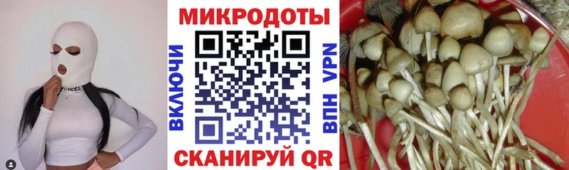 Псилоцибиновые грибы Psilocybine cubensis  Углегорск 